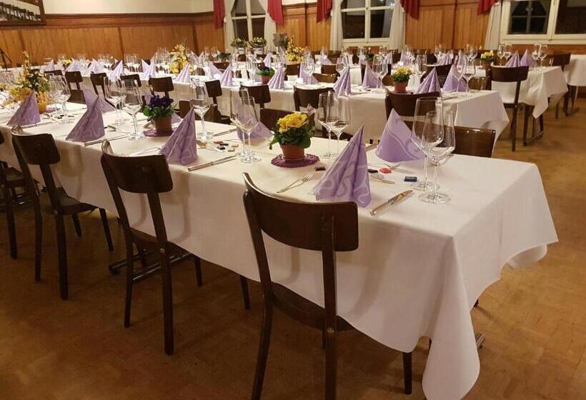 בית מלון כפרי Metzgern