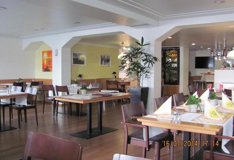 בית מלון כפרי Metzgern