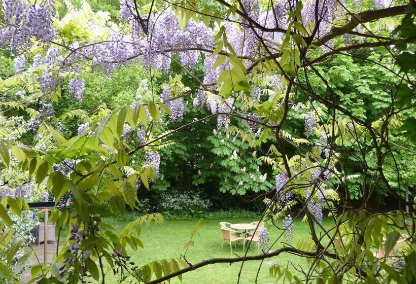 فندق Pension Zoom Oord