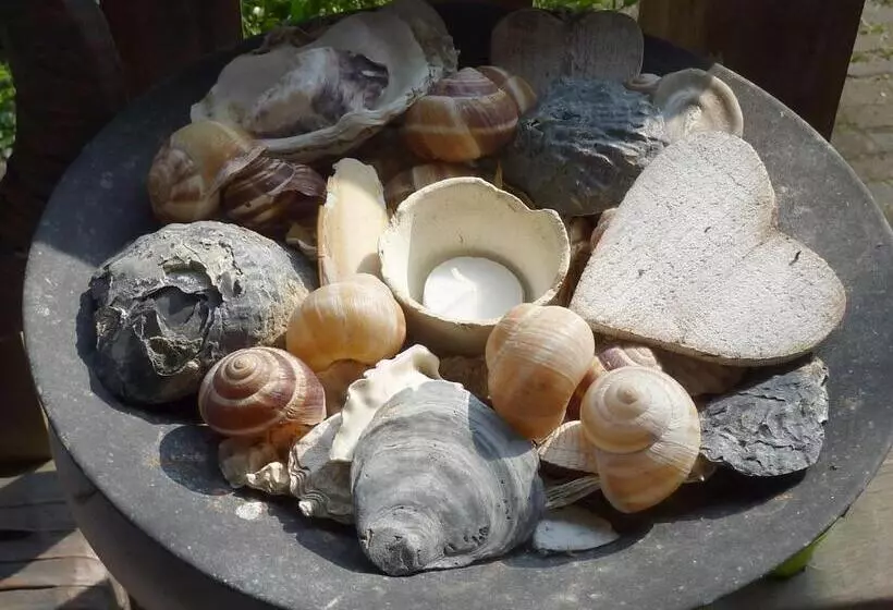 Hotelli Pension Zoom Oord