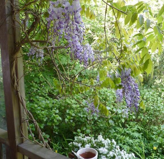 فندق Pension Zoom Oord