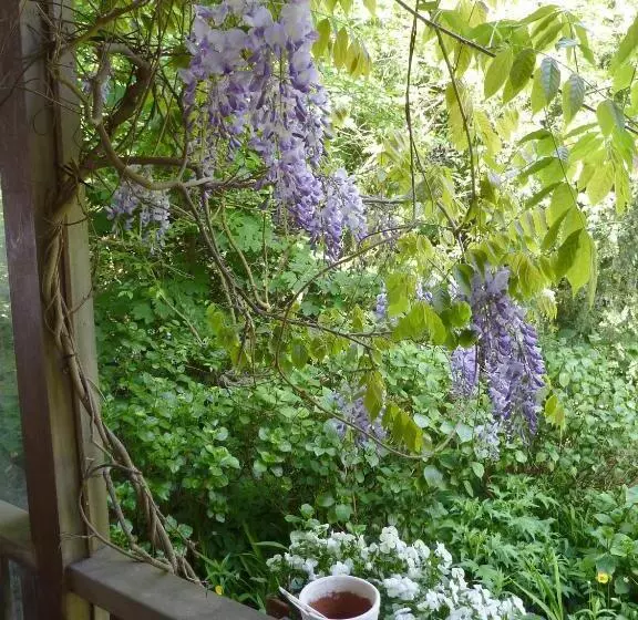 Hotelli Pension Zoom Oord