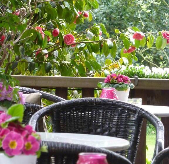 فندق Pension Zoom Oord