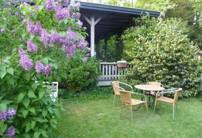 فندق Pension Zoom Oord