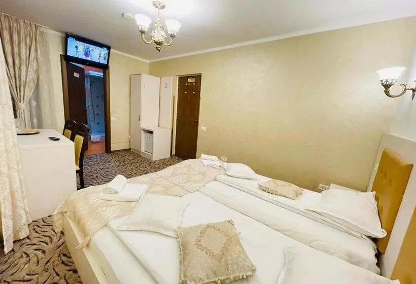 هتل Pensiunea Ianis Piatra Neamt