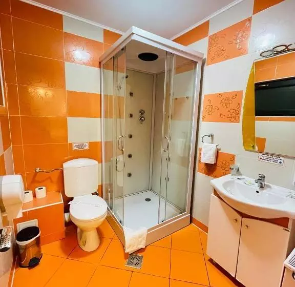 هتل Pensiunea Ianis Piatra Neamt