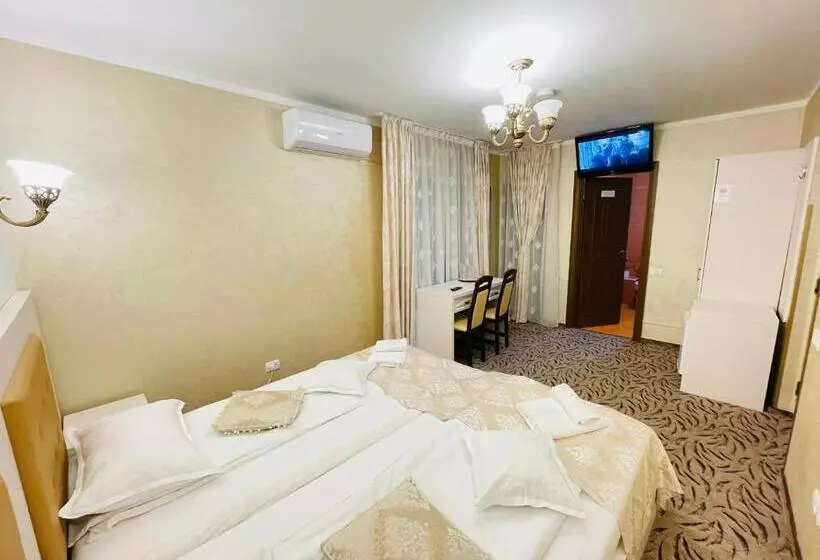 هتل Pensiunea Ianis Piatra Neamt