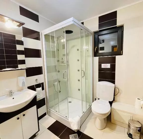 هتل Pensiunea Ianis Piatra Neamt