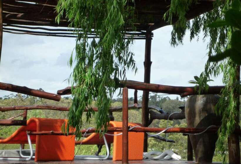 فندق Rothman Manor