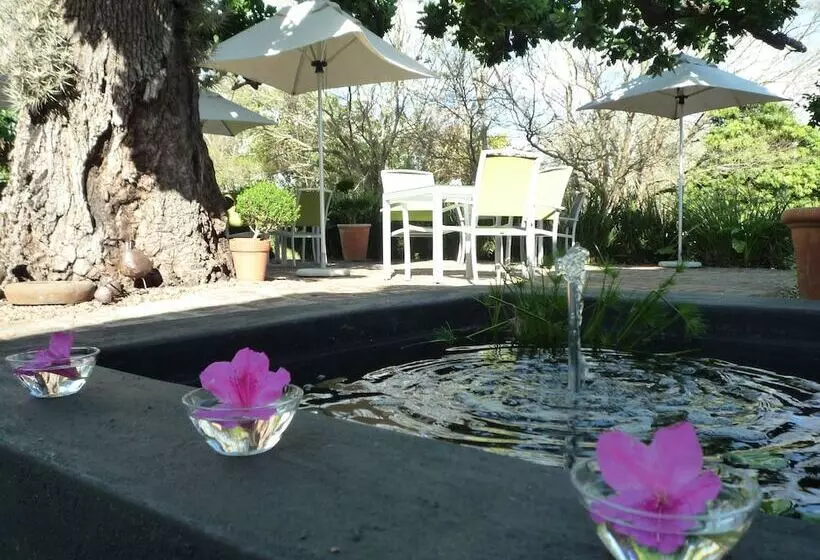 호텔 Rothman Manor