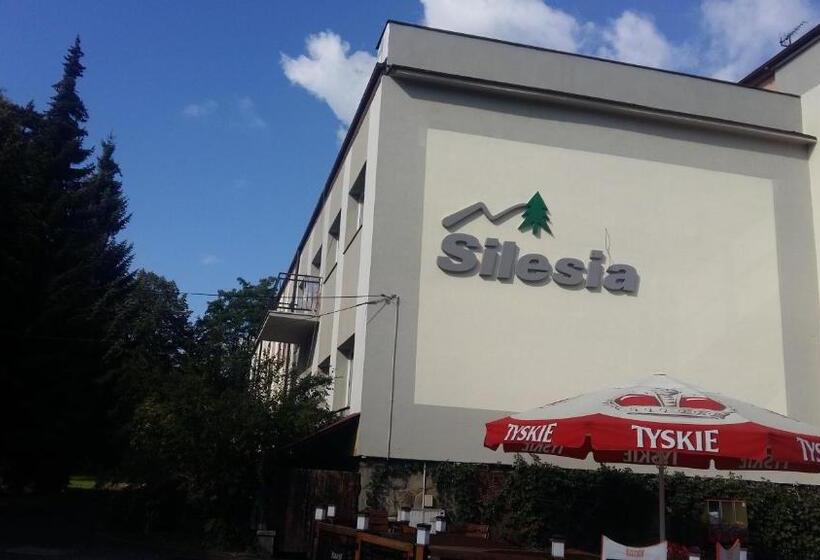 ホテル Silesia