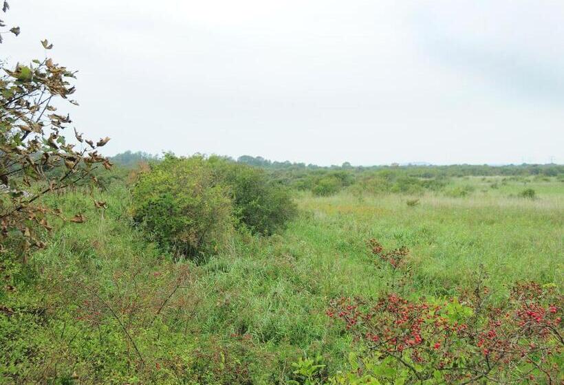 Hotel ´t Wapen Van Marion