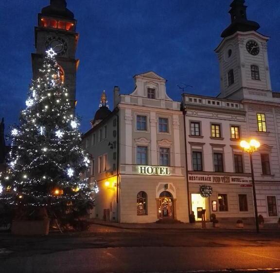 ホテル Vacek Pod Věží