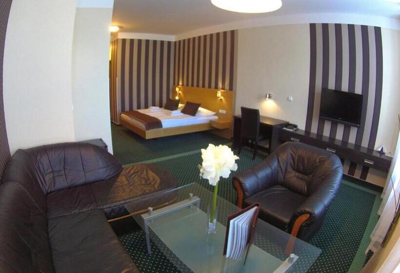 ホテル Vacek Pod Věží