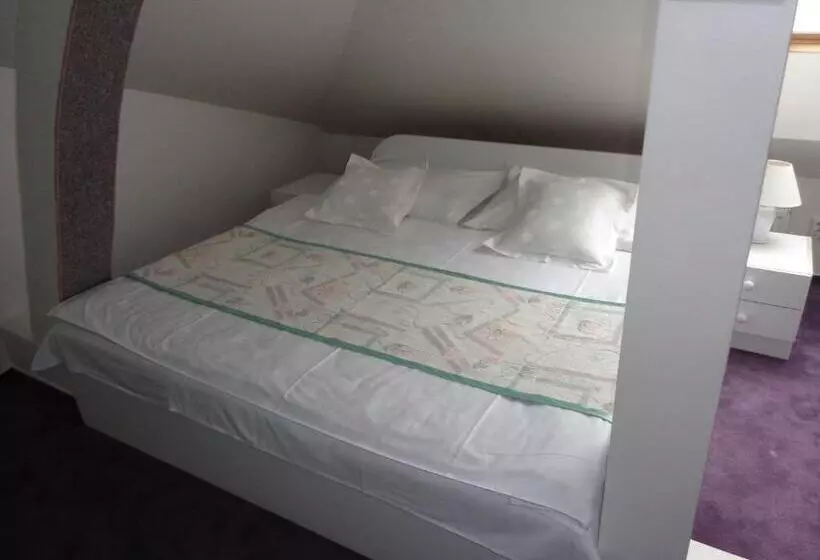 هتل Vacek Pod Věží