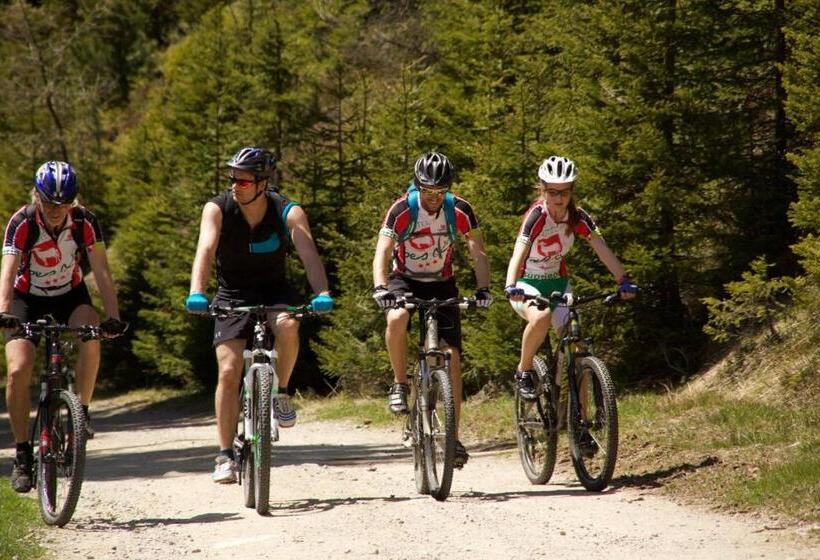 Отель Weisses Lamm