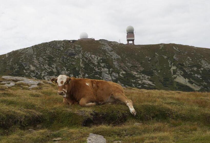 Majatalo Gasthof Martinhof