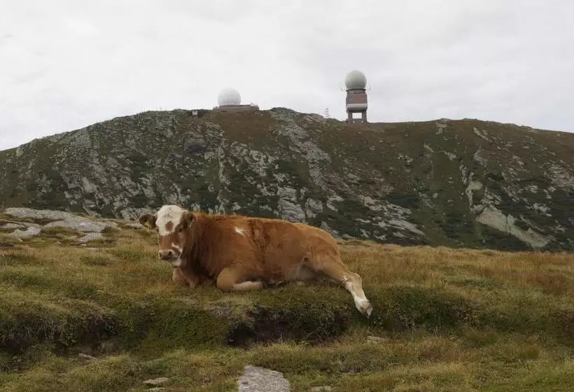 ペンション Gasthof Martinhof