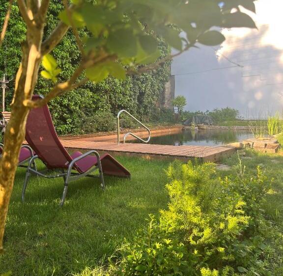 膳宿费 Gasthof Zum Goldenen Anker