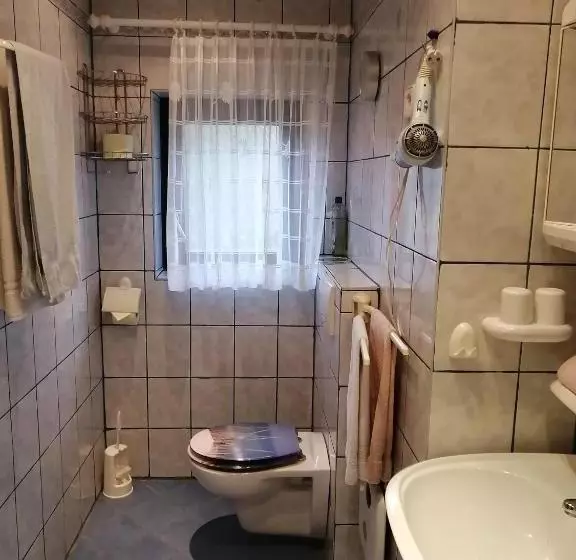 Pensiune Gästehaus Tropf