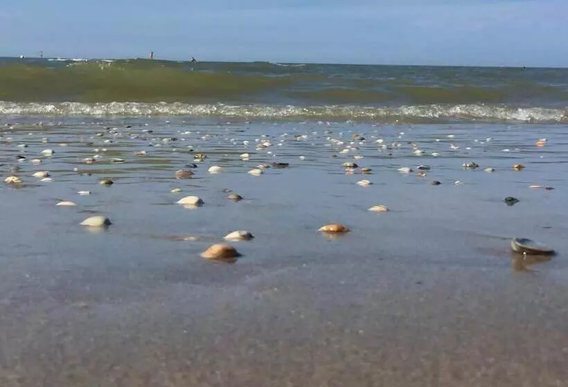 Sea You Hotel Noordwijk