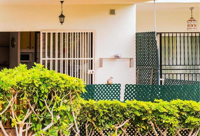 Live Los Cristianos Garden And Pool