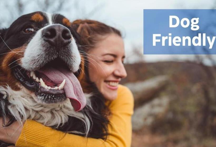 Hottub, Firepit, Grill, Deck, Playset & Wifi