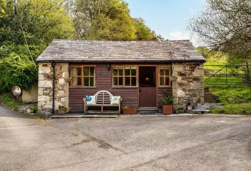 Romantic, Secluded Cottage In Cardinham Woods, Cornwall