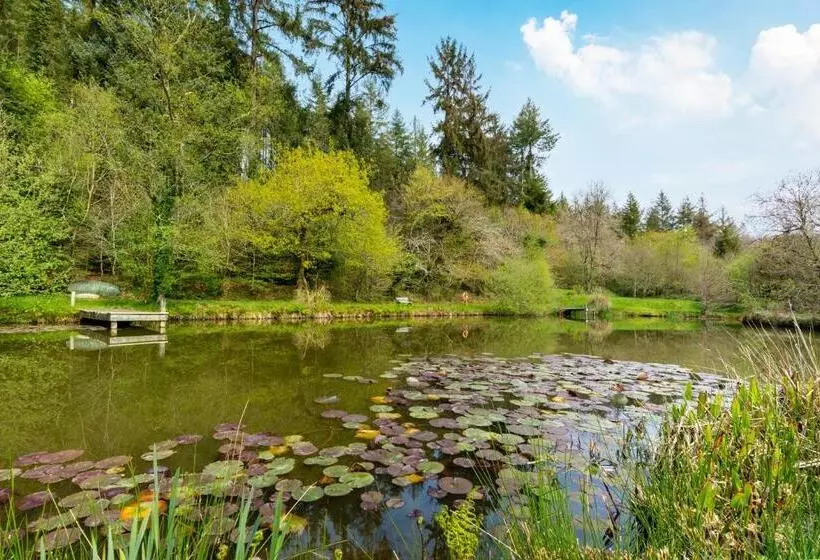 Romantic, Secluded Cottage In Cardinham Woods, Cornwall