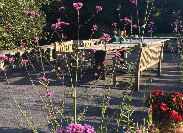 Romantic, Secluded Cottage In Cardinham Woods, Cornwall