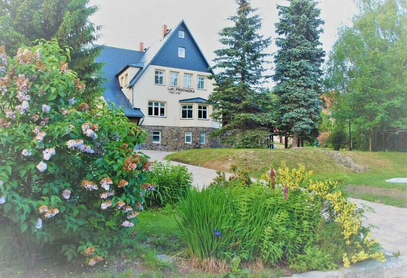 Отель Resort Luft Sněžník