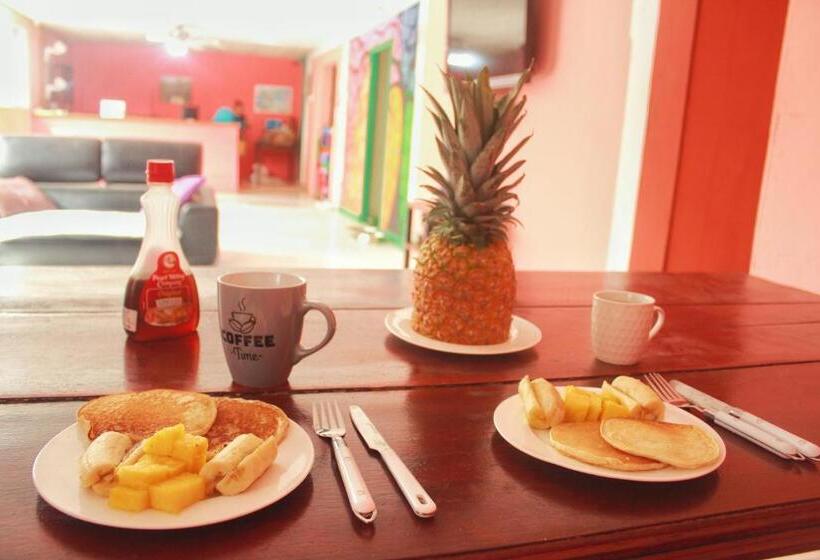 فندق صغير Twin Fin Plaza