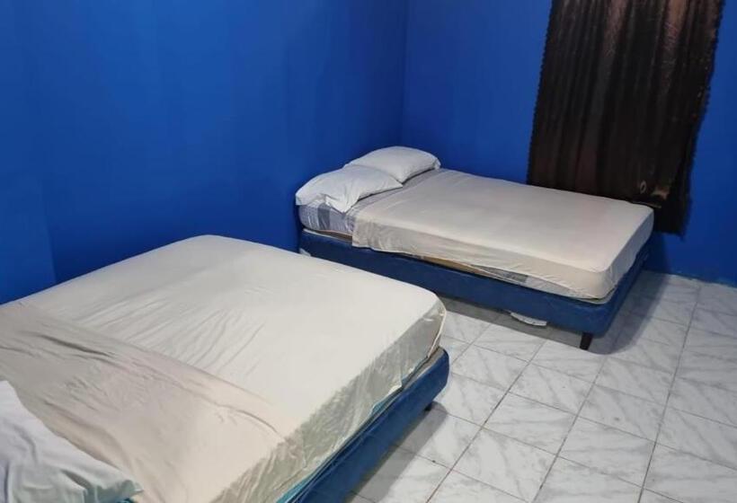 فندق صغير Twin Fin Plaza