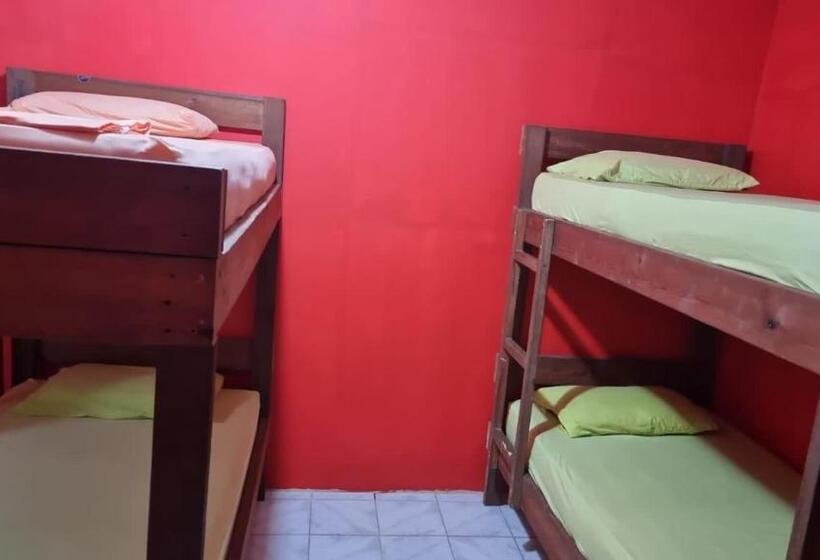 فندق صغير Twin Fin Plaza