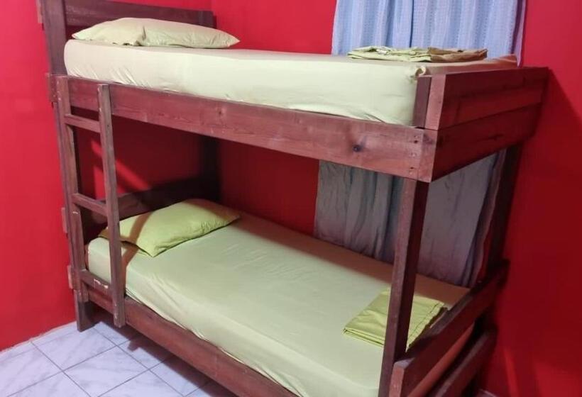 فندق صغير Twin Fin Plaza