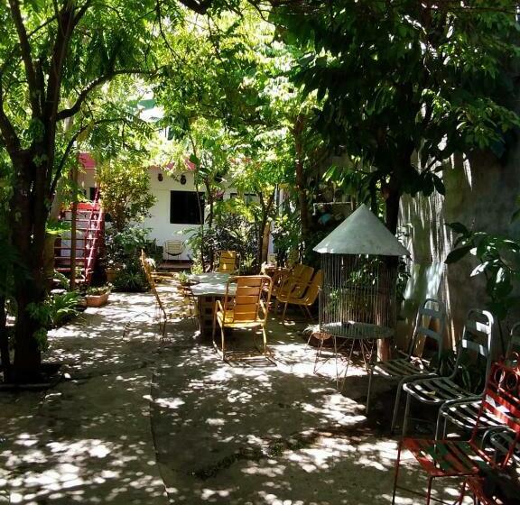 تختخواب و صبحانه Museito De Carlos