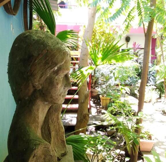 تختخواب و صبحانه Museito De Carlos