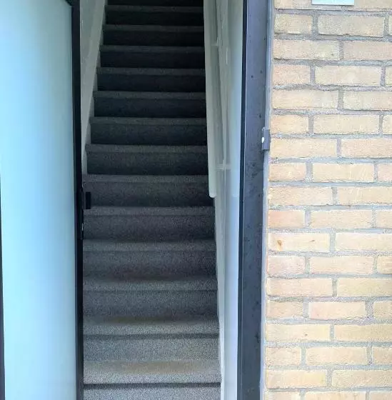 Dolfijn, Wijk De Brabander 92