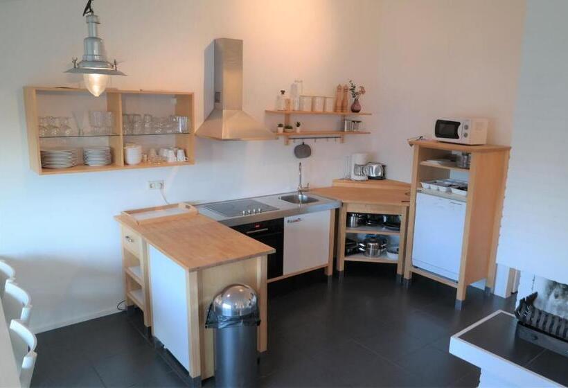 Dolfijn, Wijk De Brabander 92