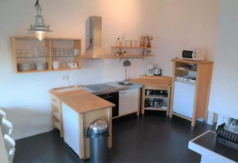 Dolfijn, Wijk De Brabander 92