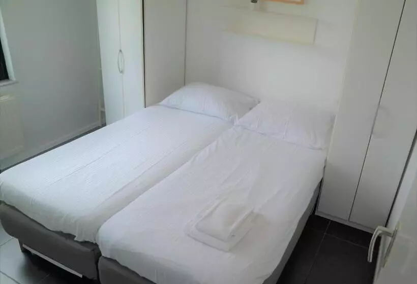 Dolfijn, Wijk De Brabander 92