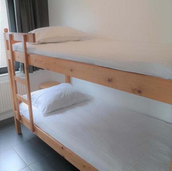 Dolfijn, Wijk De Brabander 92