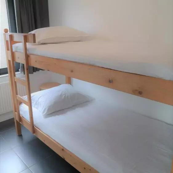 Dolfijn, Wijk De Brabander 92