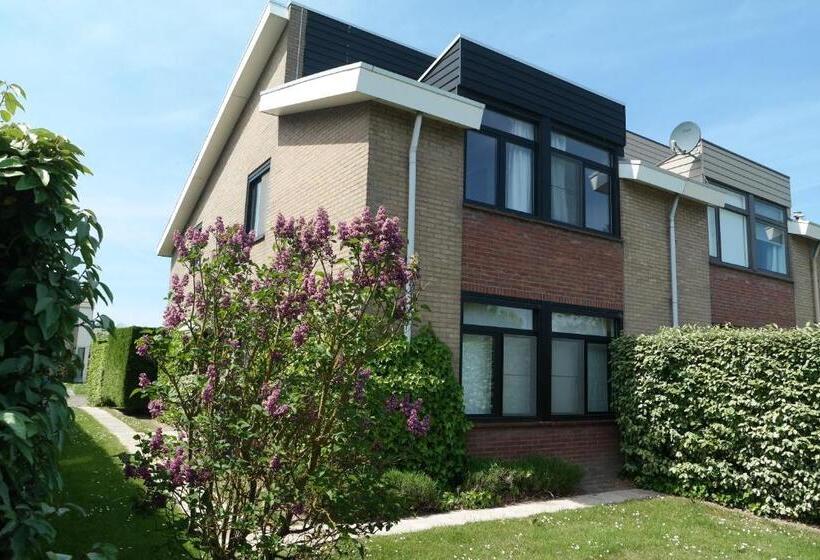 Dolfijn, Wijk De Brabander 92