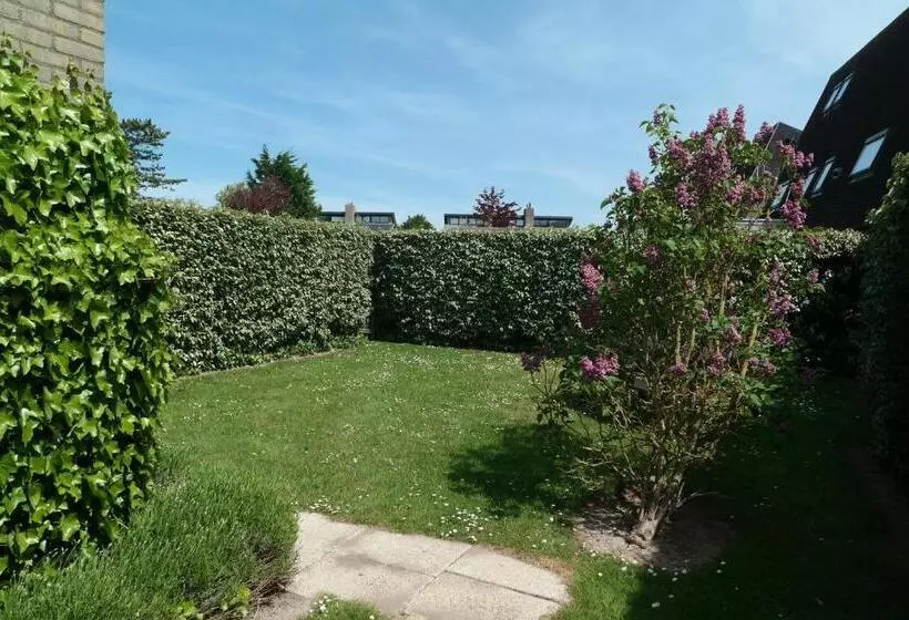 Dolfijn, Wijk De Brabander 92