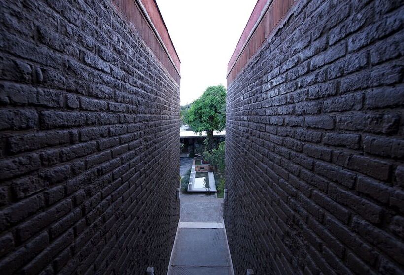 فندق Casa Limon Malinalco