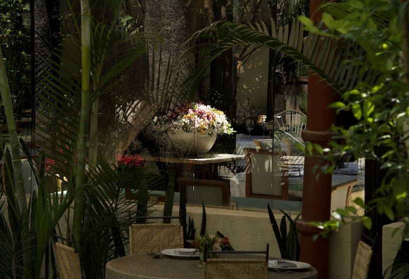 فندق Casa Limon Malinalco