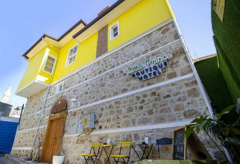 هتل The Little Prince Pension