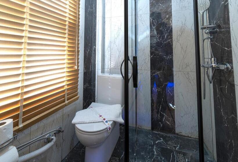 هتل The Little Prince Pension