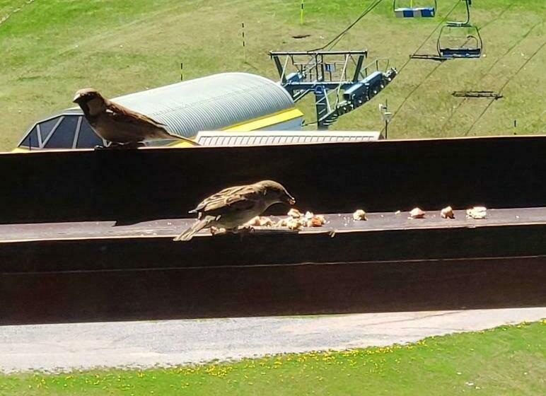 Studio Charmant Avec Vue Sur Les Pistes Le Devoluy 25 M²